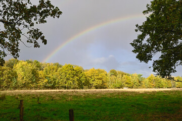 Beautiful rainbow arcs over tranquil green field surrounded by colorful autumn trees in peaceful countryside setting