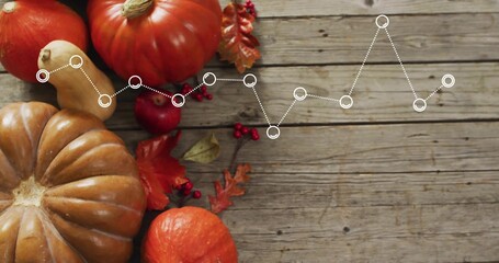 Obraz premium Displaying ribbed tan pumpkin, orange gourds on plank with white dotted line overlay, copy space