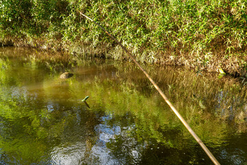 岩手県遠野のカッパ淵