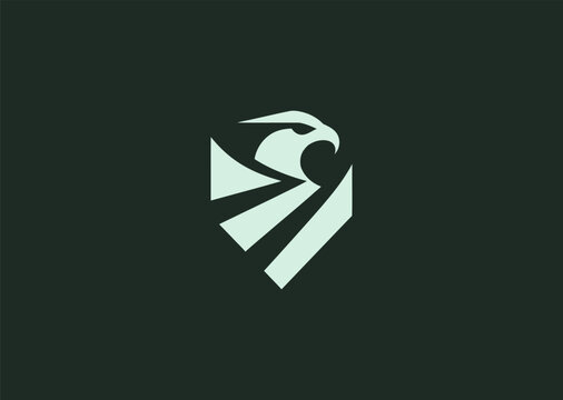 A dynamic geometric falcon logo constructed with clean intersecting lines and angular wing shapes, representing speed, precision, and sharp vision, designed as a sleek creative vector illustration