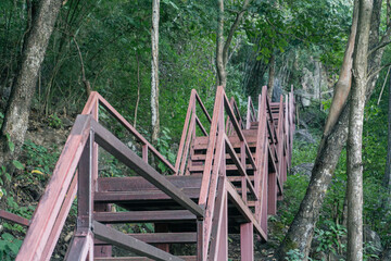 Fototapeta premium steep reddish-brown metal staircase ascending through a dense, lush tropical jungle or forest, with tree trunks and abundant green foliage framing the path, symbolizing the challenging yet rewarding c