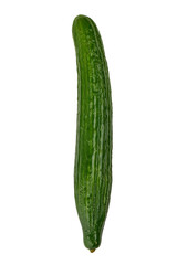 Fresh Green Cucumber, isolated on white background