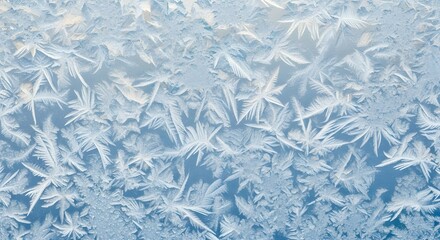 Intricate frost patterns form delicate ice crystals on a windowpane in winter