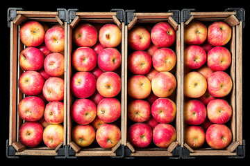 Stacked crates full of freshly harvested apples ready for distribution Generative AI