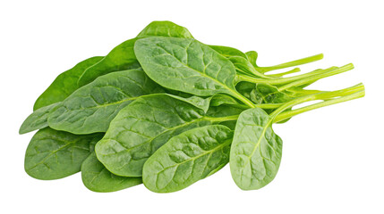 Fototapeta premium Fresh spinach leaves bunch isolated on a transparent background