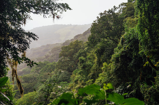 Mist over the tropical forest near La Piedra del Indio Waterfall