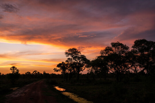 Beautiful view to sunset clouds in the Pantanal of Miranda