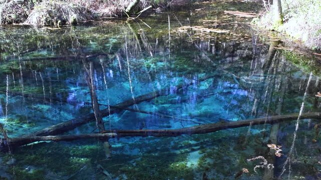 北海道斜里郡清里町2025秋-神の子池-02