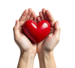 Mani e cuore concetto di amare e donare, su sfondo trasparente