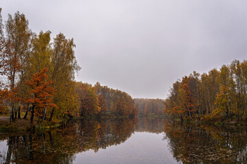 Fototapeta premium Autumn landscape with colorful trees reflected in calm lake on a misty day. Nature background for serenity and seasonal beauty.