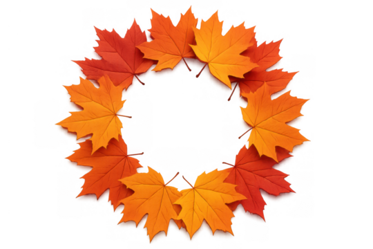 Autumn maple leaves forming a round frame, showing fall season mood and vibrant colors on transparent background