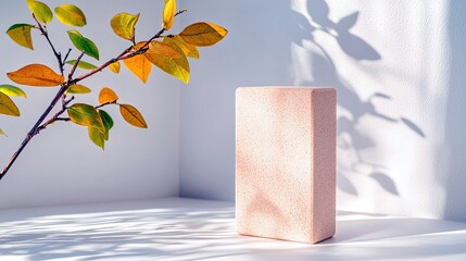 A minimalist composition featuring a pink rectangular block and a branch with autumn leaves, set against a white background with dappled shadows.