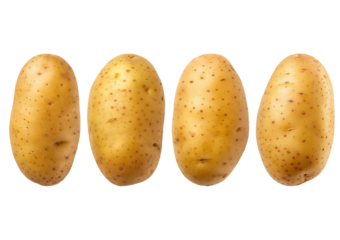 Set Potato isolated on transparent or white background