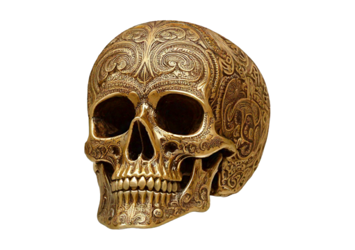 Vintage skull art creative design isolated on a transparent or white background.