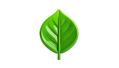 Glossy, vibrant green leaf with prominent veins, isolated on black