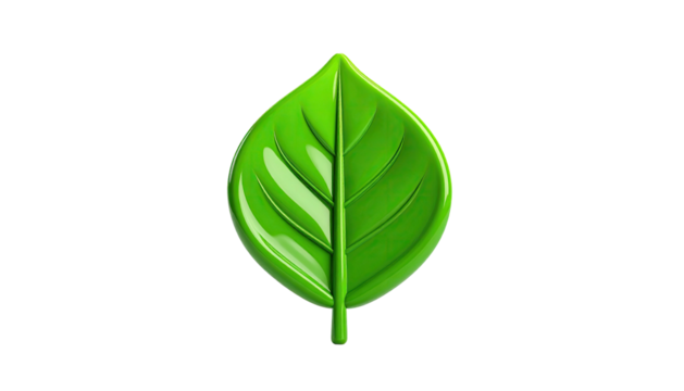 Glossy, vibrant green leaf with prominent veins, isolated on black