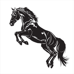 A horse is an animal