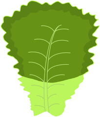 green leaf