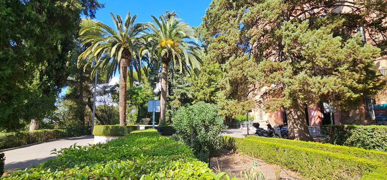 Escena luminosa de un jardin con palmeras altas y setos bien cuidados junto a un edificio antiguo de ladrillo, creando un ambiente tranquilo y natural. jardin exterior