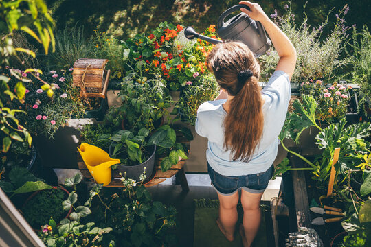 Woman watering plants in balcony