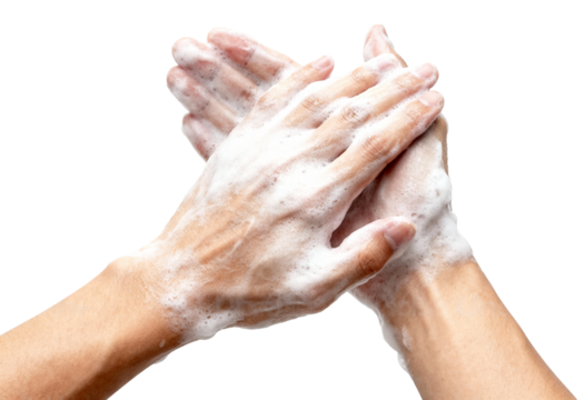 Hands Washing with Soap Foam Isolated on Transparent Background PNG