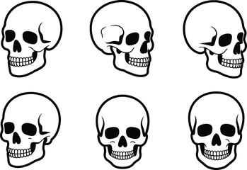 Human skull vector illustration set, anatomical skull drawings, skeleton head icons, medical bone structure graphics for education and anatomy projects.