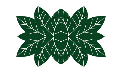 Symmetrical green leaves with veins ornament. Vector floral foliage illustration isolated on white.
