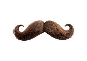 Curly moustache isolated on transparent or white background