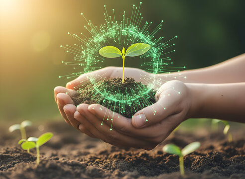 Hands holding vibrant seedling with digital network for sustainable future