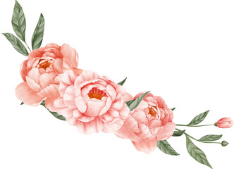 Pink peony flower watercolor arrangement on isolated background