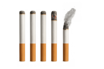 Cigarette burning stages showing tobacco igniting, smoking, and ash forming on a transparent background