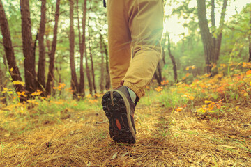 mans hiking in the woods, solo walk in autumn