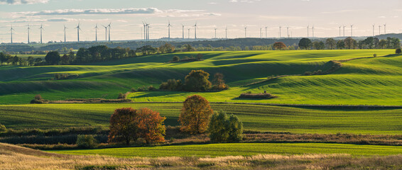 Intensely green fields contrasting with the autumn colors of trees in Brandenburg, Germany © Mike Mareen