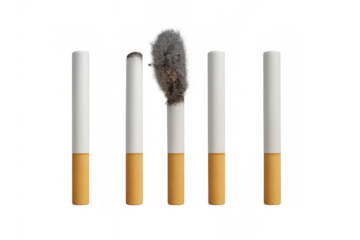 Smoking addiction progression showing one burning cigarette among unlit cigarettes, representing health risks
