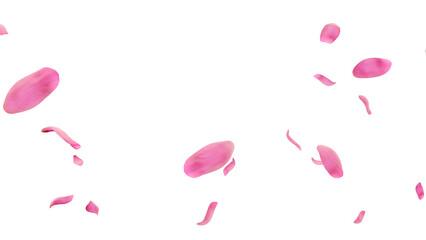 Falling pink tulip petals diagonal flow transparent PNG 3D render