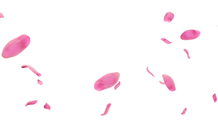 Falling pink tulip petals diagonal flow transparent PNG 3D render