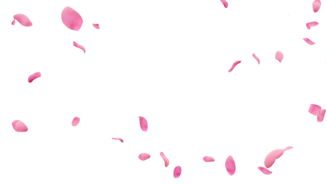 Falling pink tulip petals circle border transparent PNG 3D render