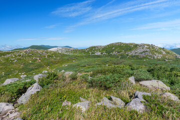 Mountain trail scenery of Mt. Iwaonupuri in Niseko, Hokkaido, Japan