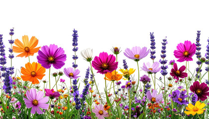 Colorful flowers and purple stalks on grassy field against black