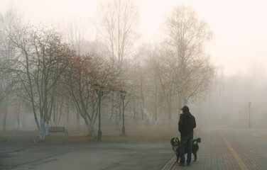 walking man and his dog on foggy street, abstract nature background. foggy morning cityscape. mystery atmosphere of autumn season. soft focus