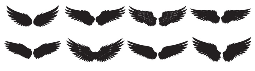 Obraz premium Set of wings vector, bird fairy angel butterfly graphic, isolated feather element, freedom flight symbol, decorative design collection, mystical fantasy illustration, animal anatomy