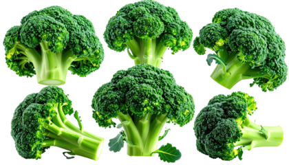 Collection of green broccoli florets, isolated against white