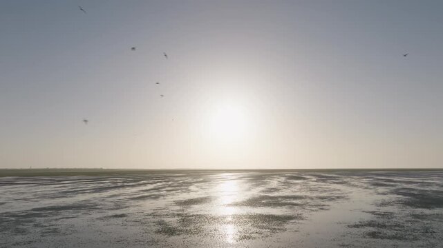 Wide view of a birds flying over wadden sea mudflats and sand patterns low tide