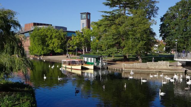 A slow panoramic movement revealing tour boats moored at Cox's Island and a large group of swans on the River Avon, with the Royal Shakespeare Theatre towering nearby in Stratford-upon-Avon.