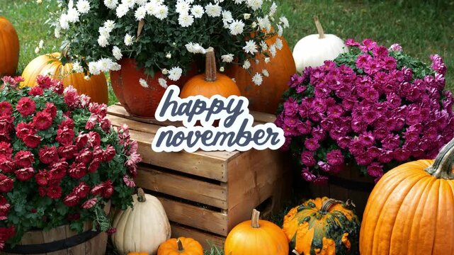 Person sets the wording Happy November on a wood crate surrounding by pumpkins and mums in the fall Autumn 4K Video Stock Footage