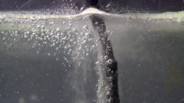 Hydrogen bubbles rise to the top of an electrolytic bath.