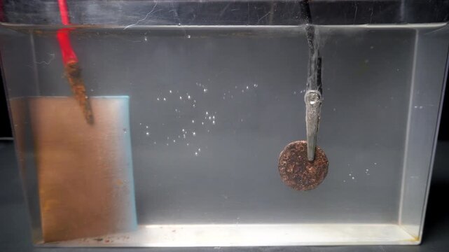 As electrolytic cleaning begins bubbles rise from ancient Roman coin.