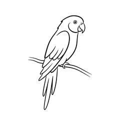Line art of a parrot perched on a branch isolated on transparent background