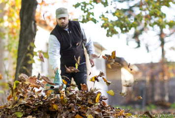  Person using a leaf blower to clear the leaves