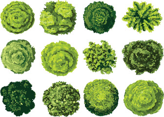 Design for a landscape architecture plan, map, or garden top view.